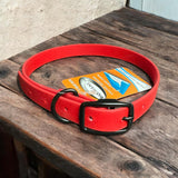 Dog Collars