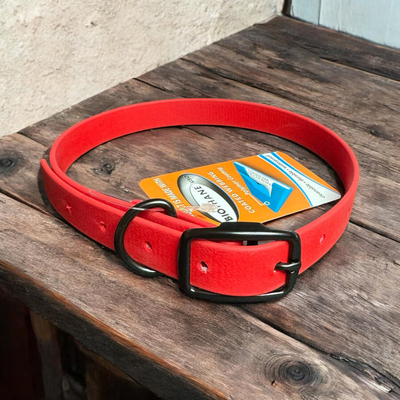 Dog Collars