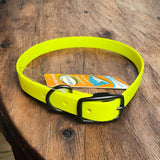 Dog Collars